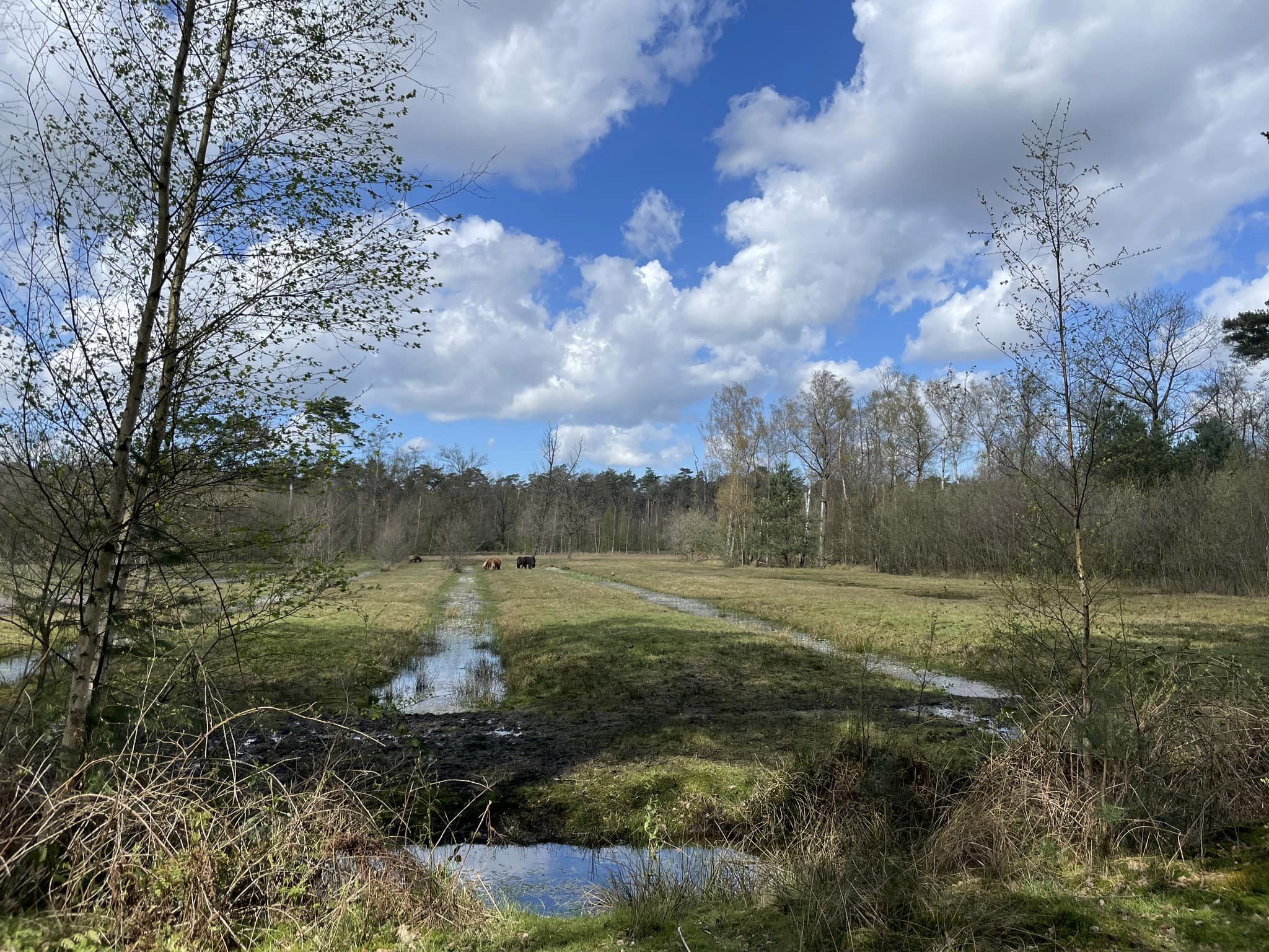 22ste Linietocht